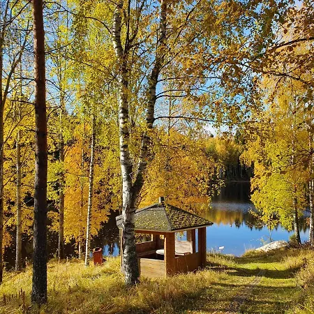 Domek alpejski Willa Rikiina Kurikka